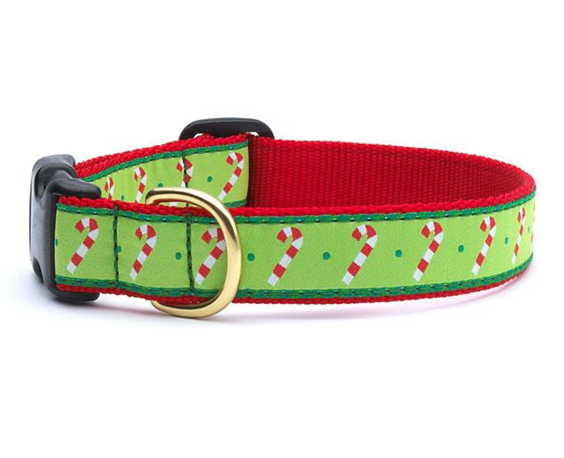 Candy Cane Dog Collar