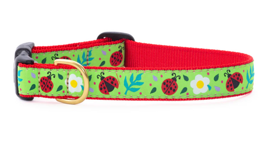 Ladybug Dog Collar