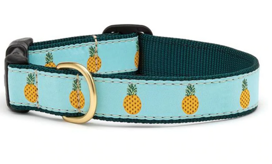 Pineapple Dog Collar