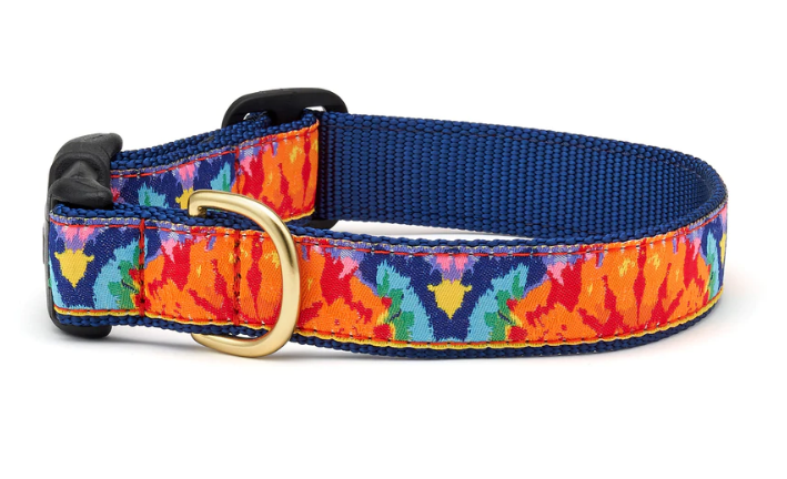 Feelin Groovy Dog Collar