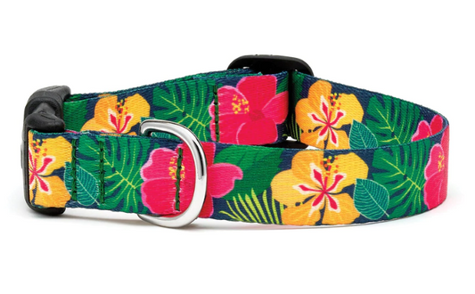 Hibiscus Dog Collar