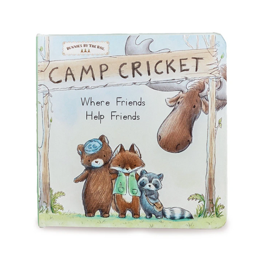 Camp Cricket