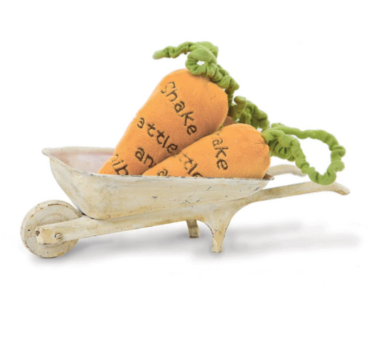 Carrot Rattle