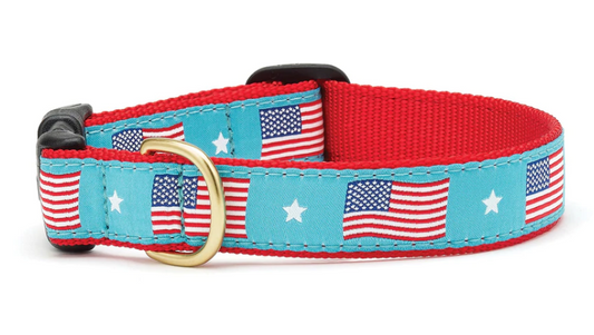 Flag Day Dog Collar